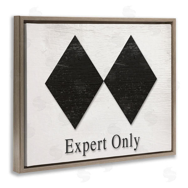 Stupell Industries Stupell Studio | Double Black Diamond Ski Sport Symbol Experts Only Wall Art