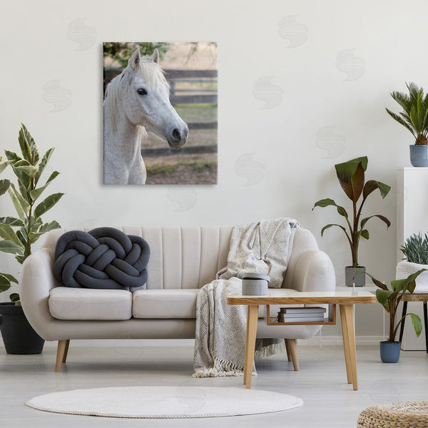 Stupell Industries Stupell Studio | Elegant White Spotted Horse Rural Country Farm Wall Art