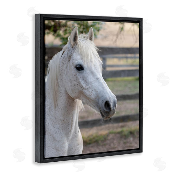 Stupell Industries Stupell Studio | Elegant White Spotted Horse Rural Country Farm Wall Art