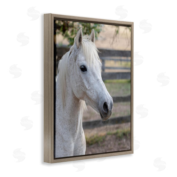 Stupell Industries Stupell Studio | Elegant White Spotted Horse Rural Country Farm Wall Art