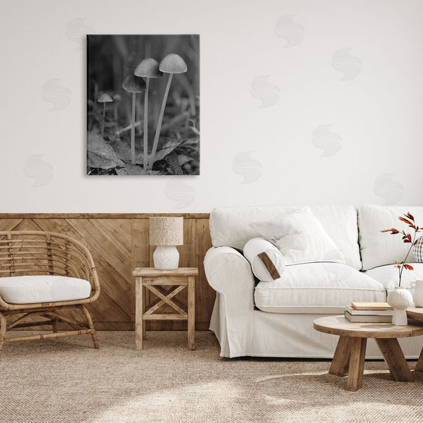 Stupell Industries Stupell Studio | Forest Mushroom Photography Wall Art