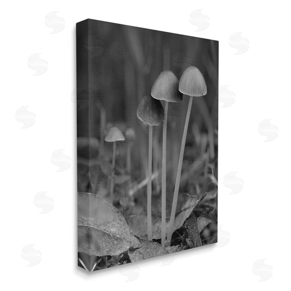 Stupell Industries Stupell Studio | Forest Mushroom Photography Wall Art