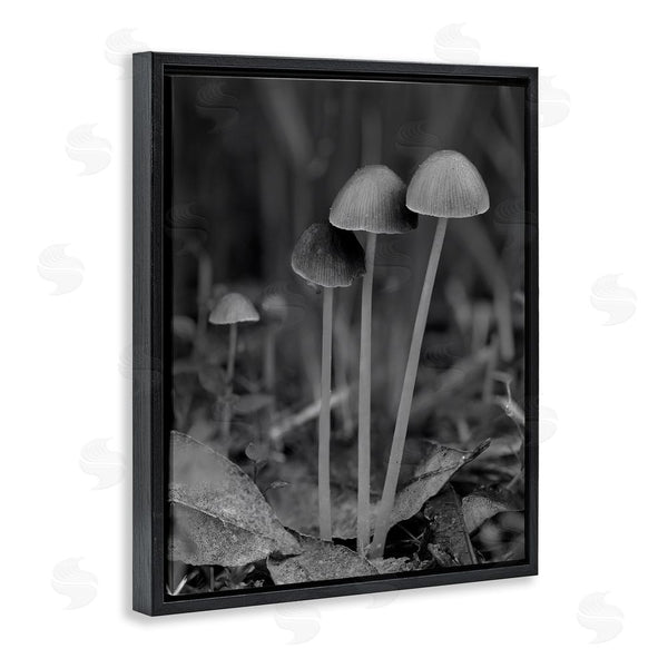 Stupell Industries Stupell Studio | Forest Mushroom Photography Wall Art