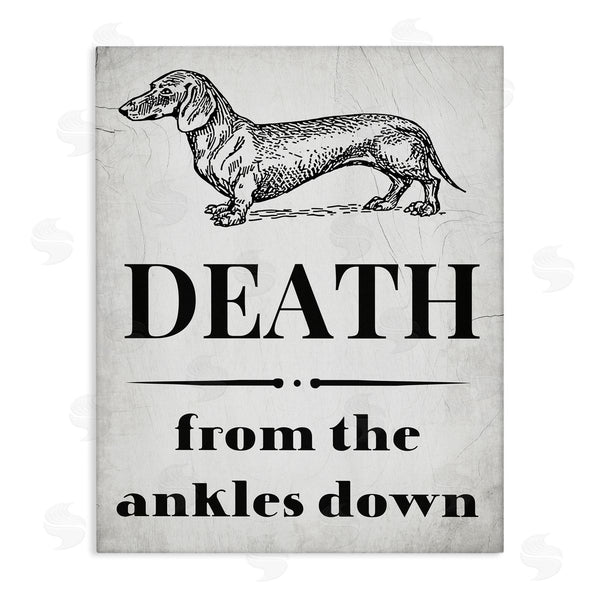 stupell industries Stupell Studio | Funny Dachshund Dog Ankles