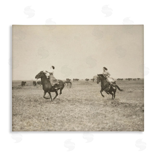 stupell industries Stupell Studio | Galloping Cowgirl Friends Wall Art