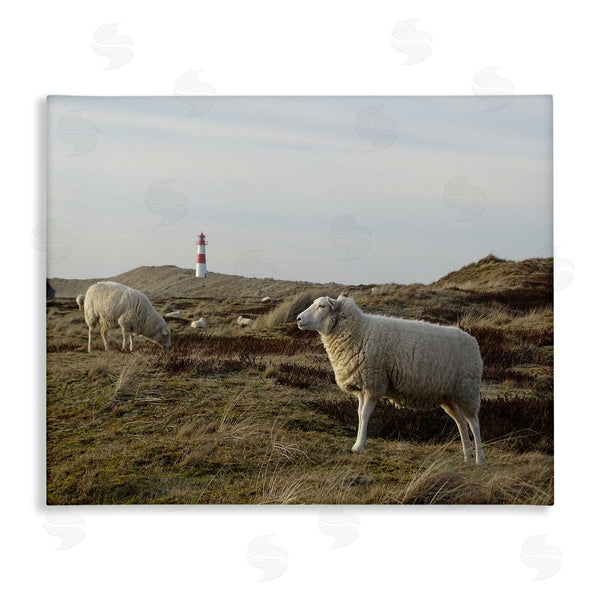 stupell industries Stupell Studio | Grazing Sheep Peaceful Grassland Hills Distant Lighthouse Wall Art