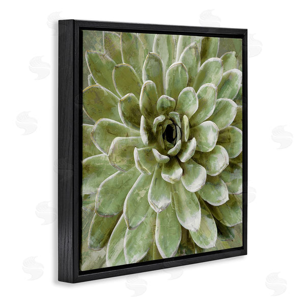 Stupell Industries Stupell Studio | Green Botanical Succulent Bloom