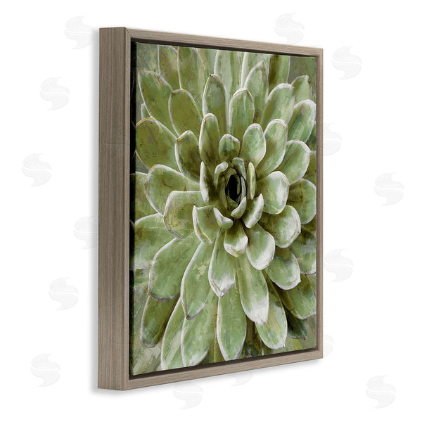 Stupell Industries Stupell Studio | Green Botanical Succulent Bloom