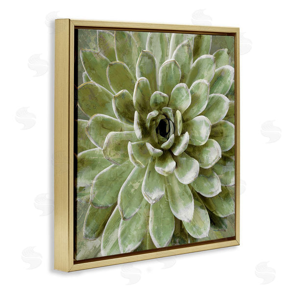 Stupell Industries Stupell Studio | Green Botanical Succulent Bloom