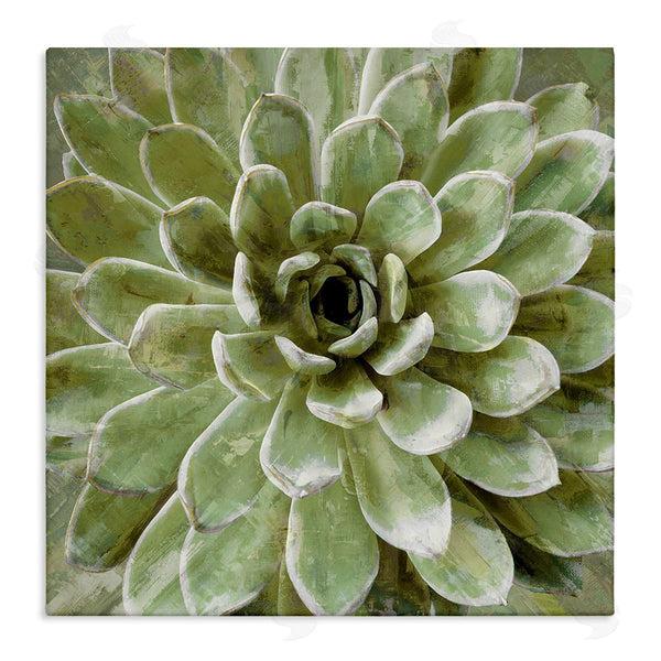 stupell industries Stupell Studio | Green Botanical Succulent Bloom