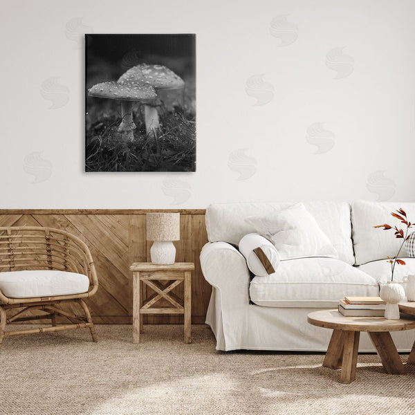 Stupell Industries Stupell Studio | Grey Mushroom Photography Wall Art