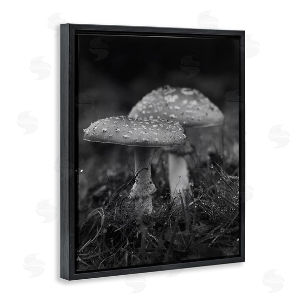 Stupell Industries Stupell Studio | Grey Mushroom Photography Wall Art
