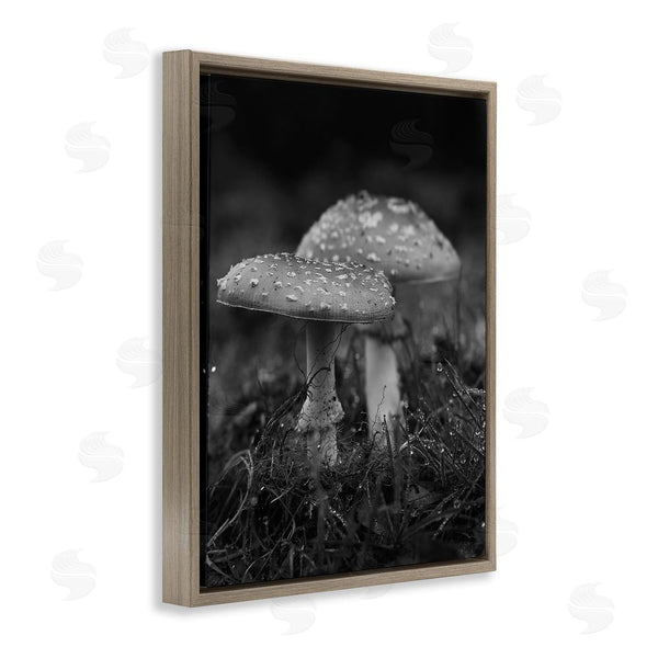 Stupell Industries Stupell Studio | Grey Mushroom Photography Wall Art