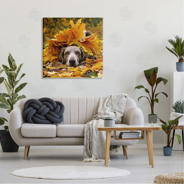 Stupell Industries Stupell Studio | Happy Puppy Autumn Foliage Wall Art