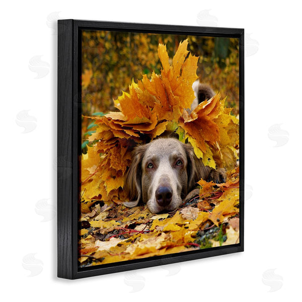 Stupell Industries Stupell Studio | Happy Puppy Autumn Foliage Wall Art