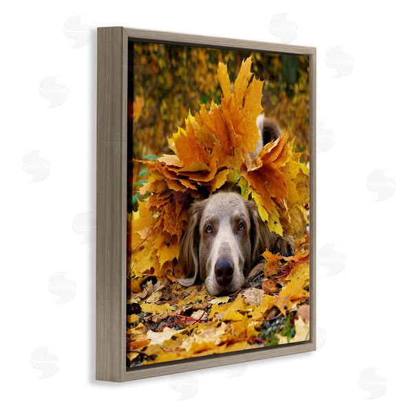 Stupell Industries Stupell Studio | Happy Puppy Autumn Foliage Wall Art