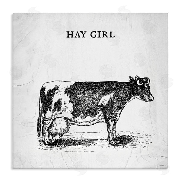 stupell industries Stupell Studio | Hay Girl Funny Phrase Farmhouse Dairy Cow Pun Wall Art