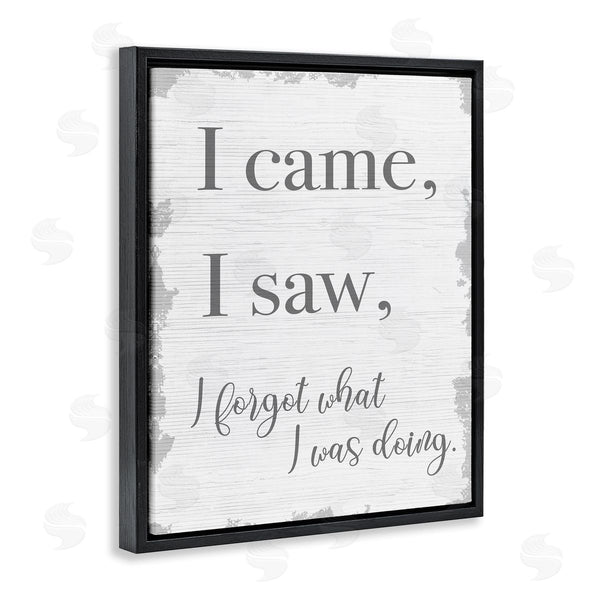 Stupell Industries Stupell Studio | I Came I Saw I Forgot