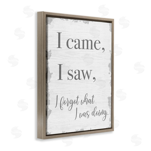 Stupell Industries Stupell Studio | I Came I Saw I Forgot