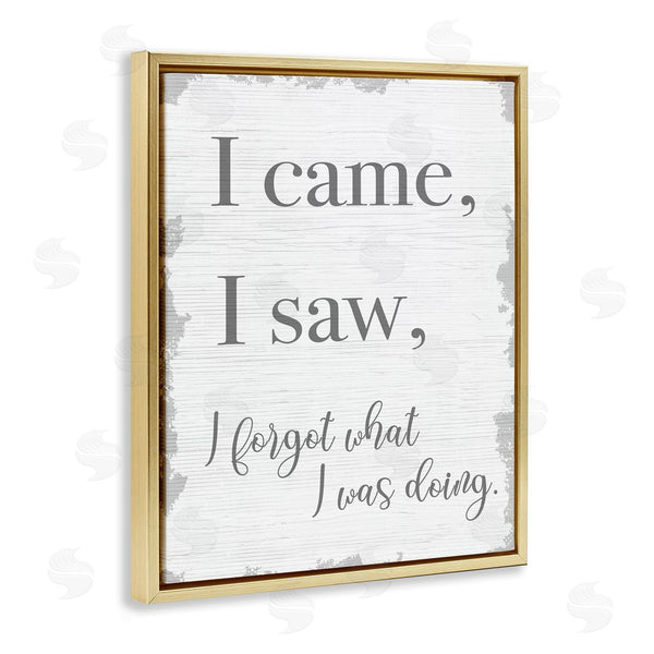 Stupell Industries Stupell Studio | I Came I Saw I Forgot