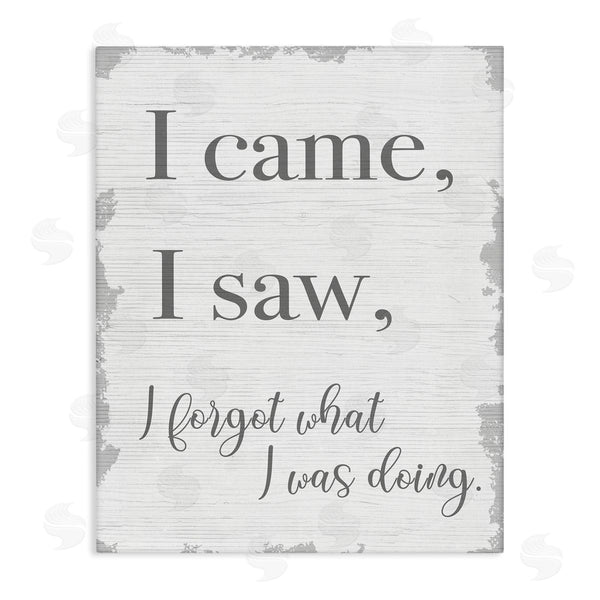 stupell industries Stupell Studio | I Came I Saw I Forgot
