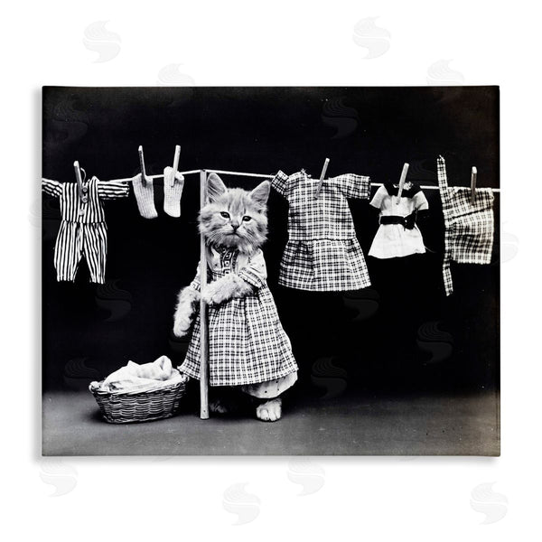 stupell industries Stupell Studio | Kitten Does The Laundry Wall Art