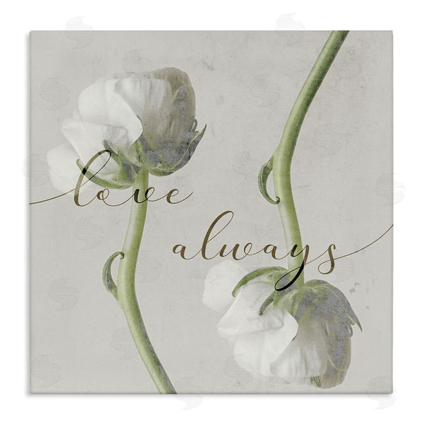 stupell industries Stupell Studio | Love Always Phrase Asymmetrical Floral White Roses