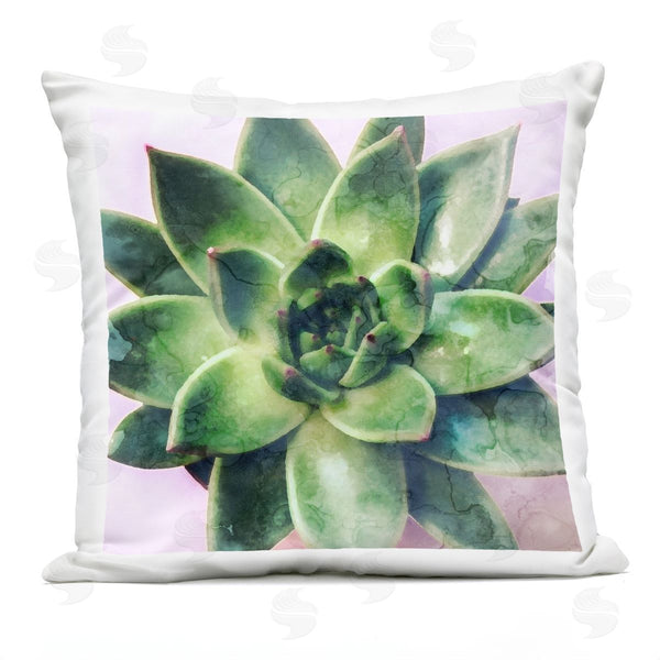 Stupell Industries Stupell Studio | Lush Succulent Leaves Printed Throw Pillow