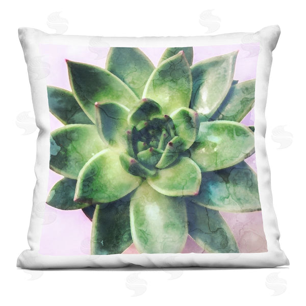stupell industries Stupell Studio | Lush Succulent Leaves Printed Throw Pillow