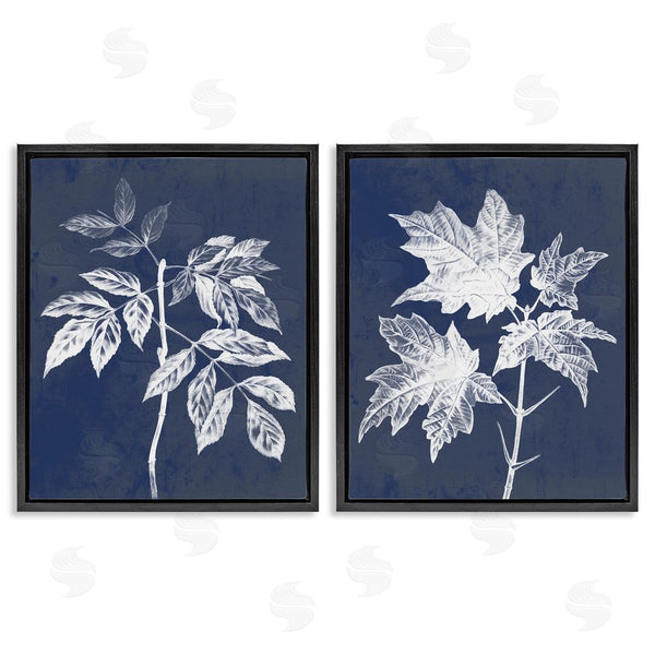 Stupell Industries Stupell Studio | Maple Leaf Elm Stem Vintage Illustration Wall Art