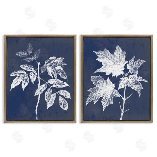 Stupell Industries Stupell Studio | Maple Leaf Elm Stem Vintage Illustration Wall Art