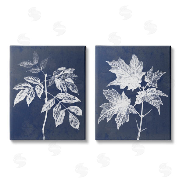 stupell industries Stupell Studio | Maple Leaf Elm Stem Vintage Illustration Wall Art