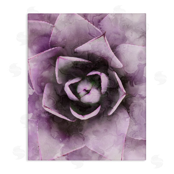 stupell industries Stupell Studio | Modern Purple Succulent Leaves Wall Art