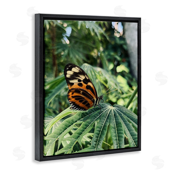 Stupell Industries Stupell Studio | Monarch Butterfly On Leaf Wall Art