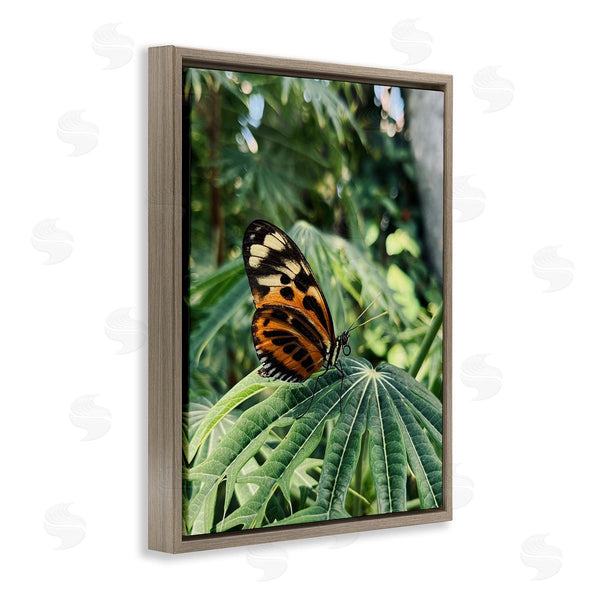 Stupell Industries Stupell Studio | Monarch Butterfly On Leaf Wall Art