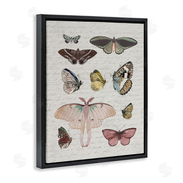 Stupell Industries Stupell Studio | Moths & Butterflies Vintage