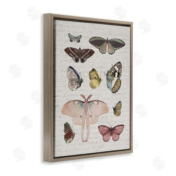 Stupell Industries Stupell Studio | Moths & Butterflies Vintage
