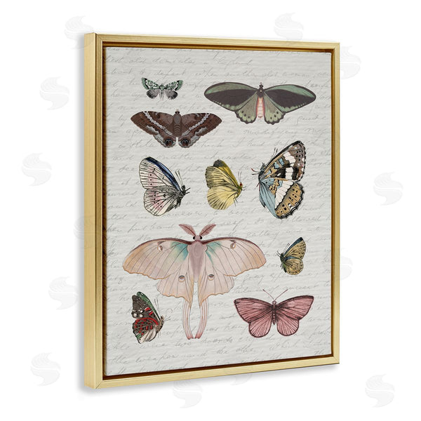 Stupell Industries Stupell Studio | Moths & Butterflies Vintage