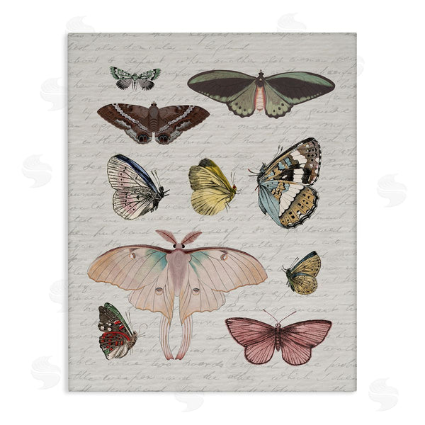 stupell industries Stupell Studio | Moths & Butterflies Vintage