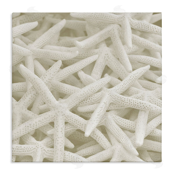 stupell industries Stupell Studio | Nautical White Starfish Photography