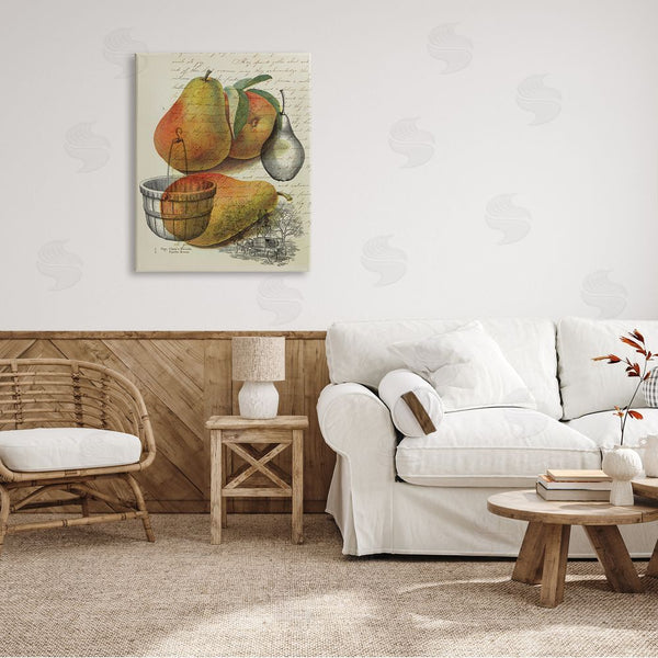 Stupell Industries Stupell Studio | Pear Fruit Harvest Illustration Vintage Text Passage Wall Art
