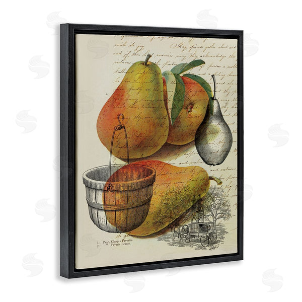 Stupell Industries Stupell Studio | Pear Fruit Harvest Illustration Vintage Text Passage Wall Art