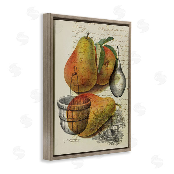 Stupell Industries Stupell Studio | Pear Fruit Harvest Illustration Vintage Text Passage Wall Art