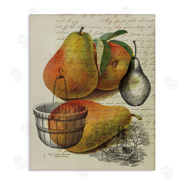 stupell industries Stupell Studio | Pear Fruit Harvest Illustration Vintage Text Passage Wall Art