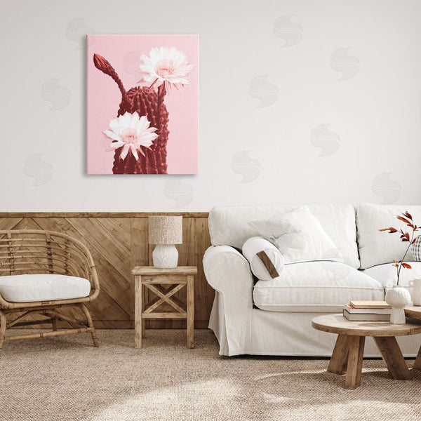 Stupell Industries Stupell Studio | Pink Cactus Flowers Wall Art