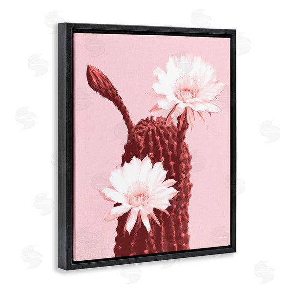 Stupell Industries Stupell Studio | Pink Cactus Flowers Wall Art