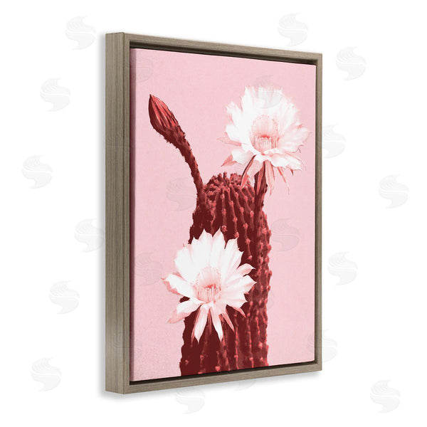 Stupell Industries Stupell Studio | Pink Cactus Flowers Wall Art