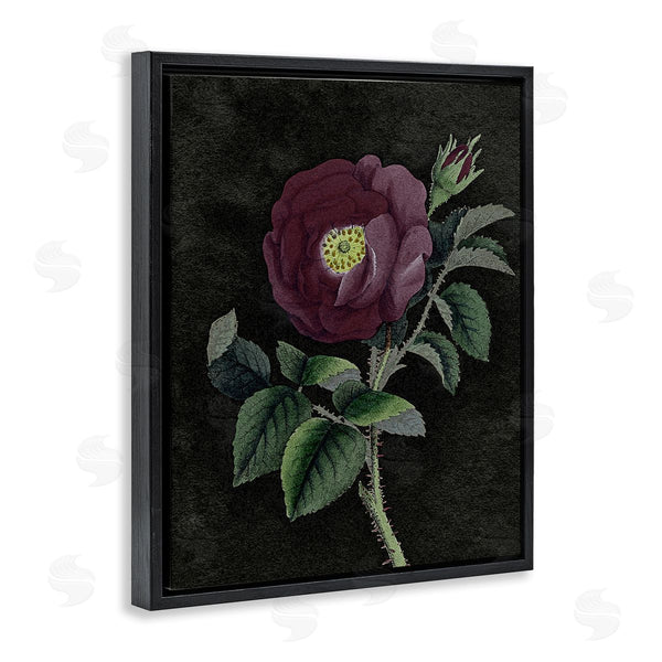 Stupell Industries Stupell Studio | Purple Poppy Vintage Illustration
