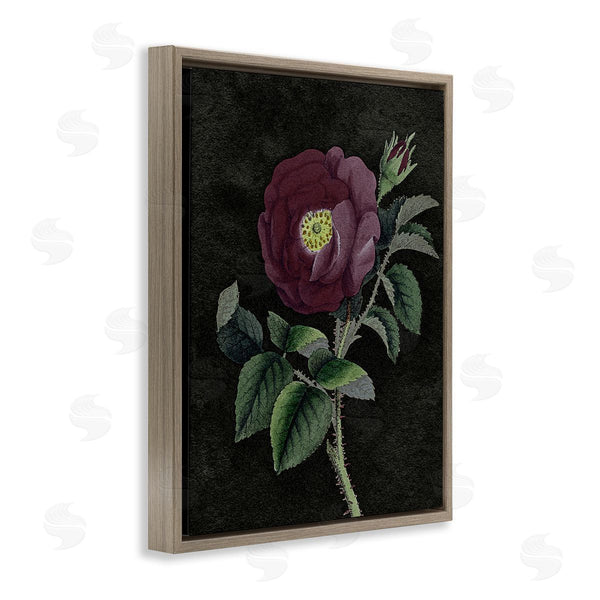 Stupell Industries Stupell Studio | Purple Poppy Vintage Illustration