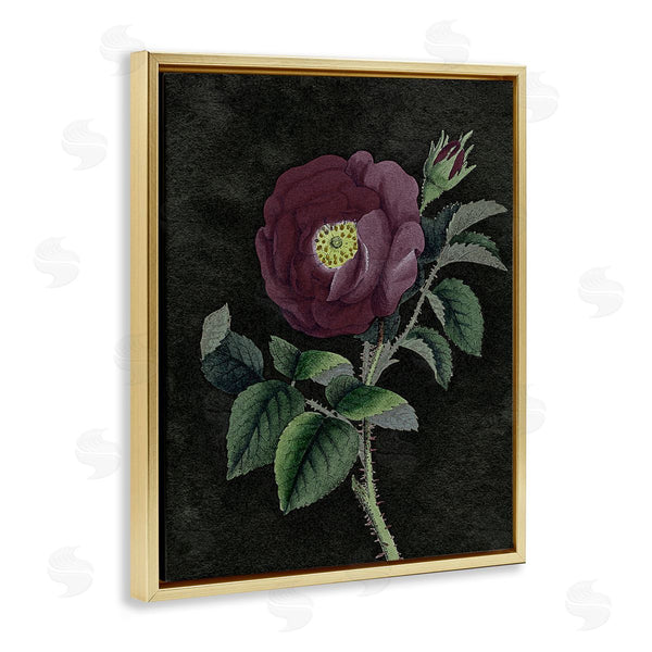 Stupell Industries Stupell Studio | Purple Poppy Vintage Illustration